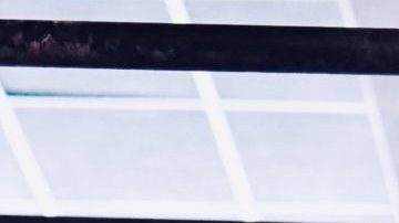 Photo: Unsplash/@charlottemsk