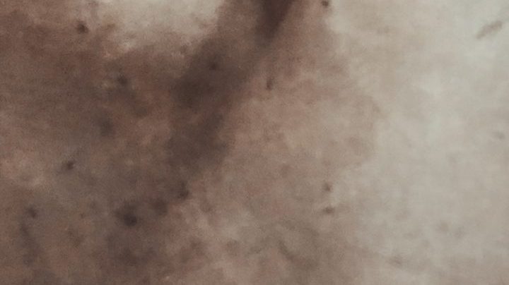 Photo: Unsplash/@tannedtonedtravelled