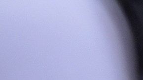 florida army vet puerto rico flag