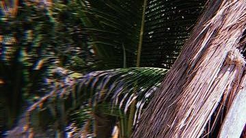 Photo: Instagram/hereisgina