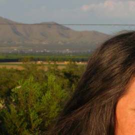 Photo: Wikimedia Commons/CcowardAna Castillo