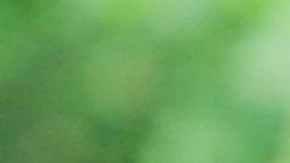 LGTBQ Rockstars from 2018 Midterms HipLatina