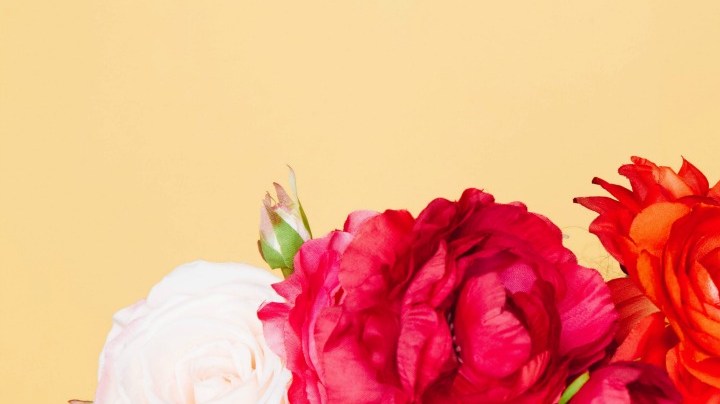 Afro-Latinx Identity: How Haiti Exists Within The Definition HipLatina