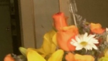 Photo: Courtesy of Jacqueline Fardella