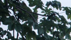 Photo: Unsplash/@victoriabcphotographer