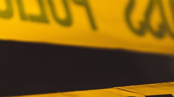 Photo: Unsplash/@davidvondiemar