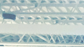 Photo: Courtesy of Lola Montilla