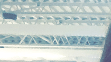 Photo: Courtesy of Lola Montilla