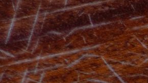 Photo: Unsplash/@miracleday