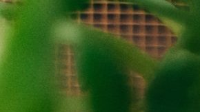 Photo: Unsplash/@gabiontheroad