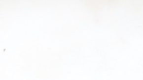 Photo: Unsplash/kimzy