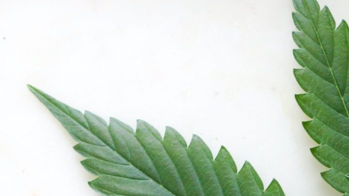 Photo: Unsplash/kimzy