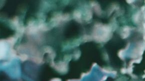 Photo: Unsplash/@orlovamaria