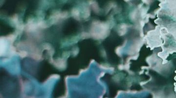 Photo: Unsplash/@orlovamaria