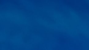 Photo: Unsplash/@photosbythomas