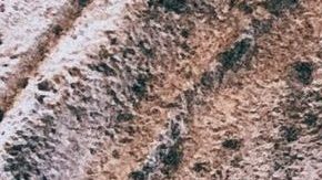 Photo: Unsplash/@veroniki