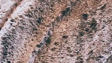 Photo: Unsplash/@veroniki