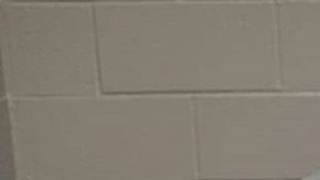 Photo: Instagram/badbunny.pr