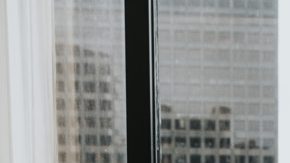 Alpha male HipLatina