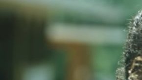 ‘La Negrada:’ Mexico’s First Fiction Film With An Entirely Black Cast HipLatina