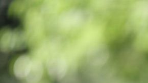 Latina taking Spanish lessons HipLatina