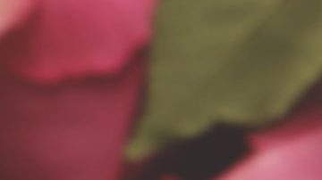 Photo: Unsplash/@misstincu