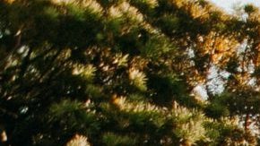 Photo: Unsplash/@bradencollum