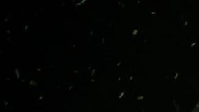 Photo: Unsplash/@dannyhowe