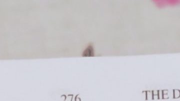 Photo: Unsplash/@dessidre