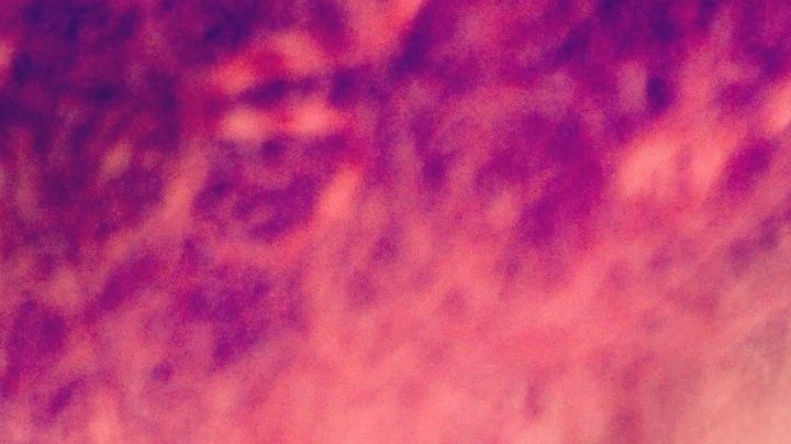 Photo: Unsplash/@emilianovittoriosi