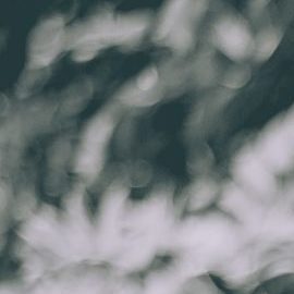 Photo: Unsplash/@gesphotoss