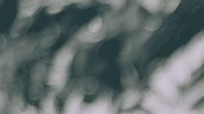 Photo: Unsplash/@gesphotoss