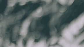 Photo: Unsplash/@gesphotoss