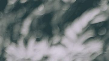 Photo: Unsplash/@gesphotoss