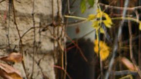 Photo: Unsplash/@melodyjacob1