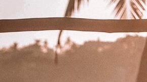 Photo: Unsplash/@jareddrice