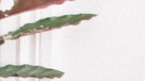 Photo: Unsplash/@prudenceearl