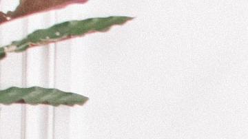 Photo: Unsplash/@prudenceearl