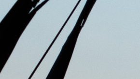 Photo: Unsplash/@mybbor