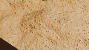 Photo: Unsplash/@stephenmont