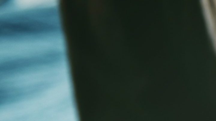 Photo: Unsplash/@timmossholder