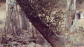 Photo: Instagram/equihua_official