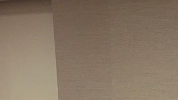 Photo: Instagram/senatorjuliasalazar