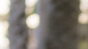 Photo: Instagram/julissaarce