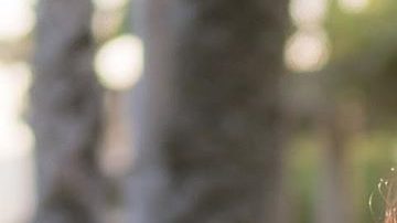 Photo: Instagram/julissaarce