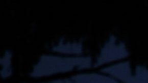 Full moon and new moon HipLatina