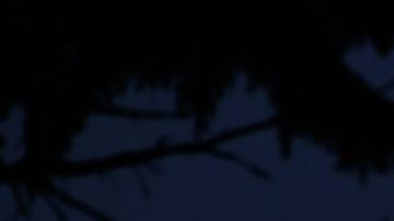 Full moon and new moon HipLatina