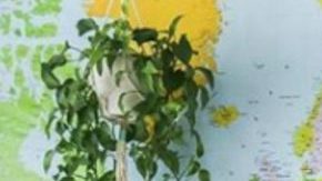 Latina digital nomads HipLatina