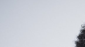 Treating dandruff for naturally curly hair HipLatina