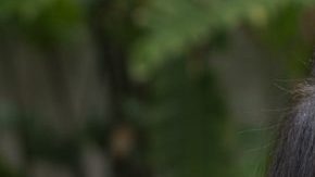 Racial healing therapy HipLatina